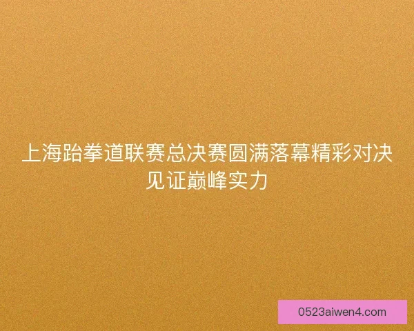 上海跆拳道联赛总决赛圆满落幕精彩对决见证巅峰实力